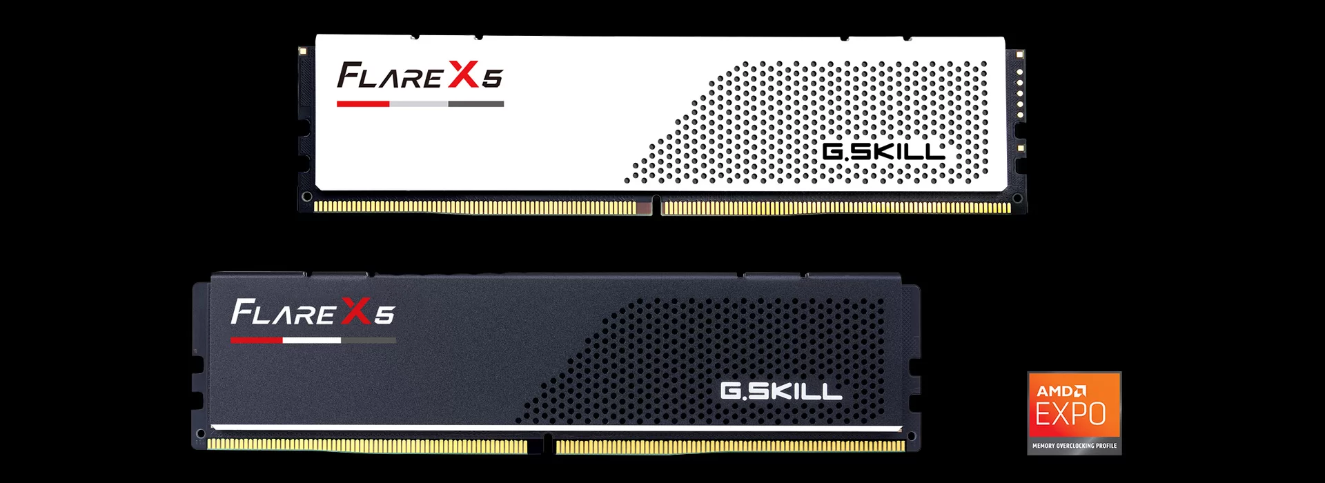 Flare X5 DDR5 Memory