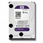 Western Digital 3.5 WD Purple 1TB Intellipower Desktop Drives (WD10PURZ)