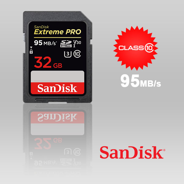 SanDisk Extreme Pro 256GB SDHC UHS-I Card - (SDSDXXG-256G-GN4IN) for sale  online
