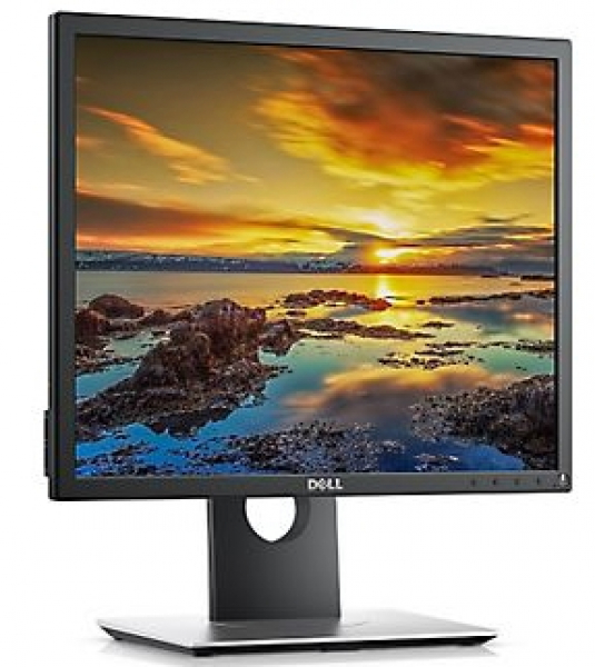 Dell P-series 19