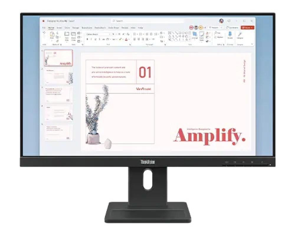 Lenovo ThinkVision E24-40 23.8
